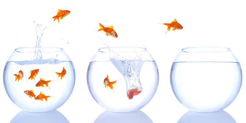 Improve online Conversion with Guided Selling